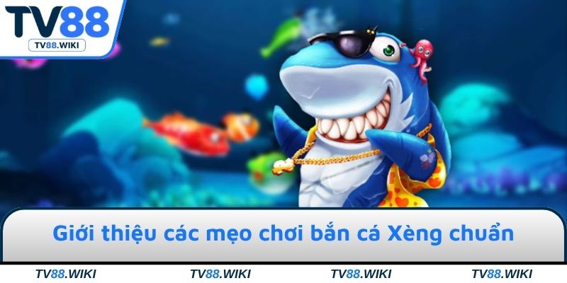 Giới thiệu các mẹo chơi bắn cá Xèng chuẩn