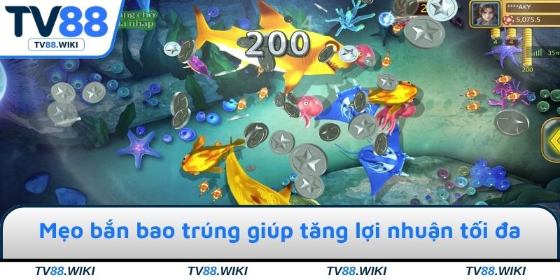 Mẹo bắn bao trúng giúp tăng lợi nhuận tối đa