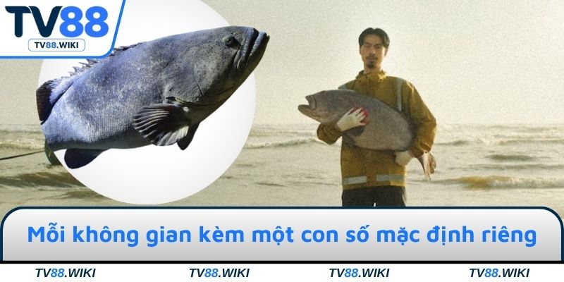 Mỗi không gian kèm một con số mặc định riêng