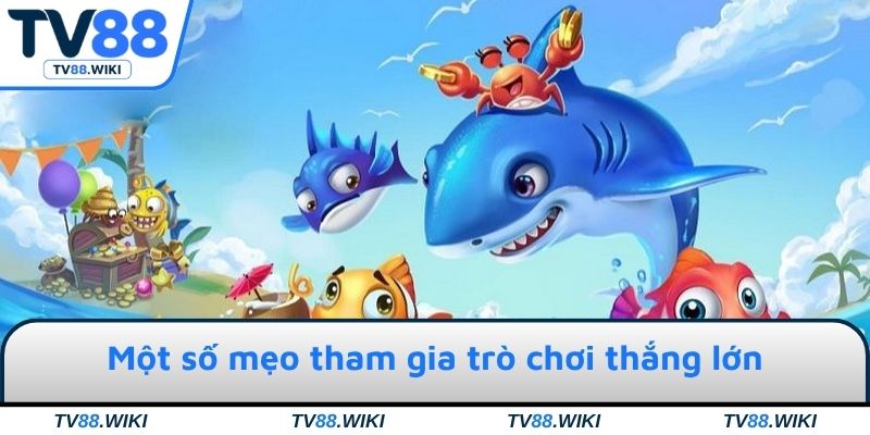 Một số mẹo tham gia trò chơi thắng lớn & nhận thưởng khủng