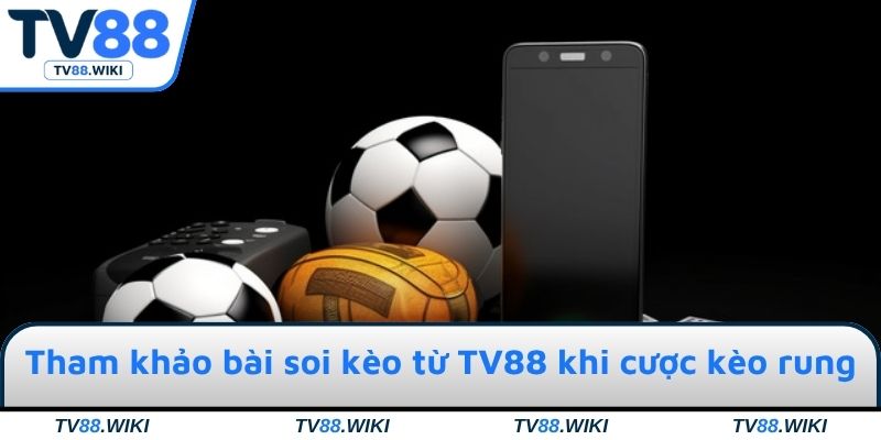 Tham khảo bài soi kèo từ chuyên gia TV88 khi cược kèo rung